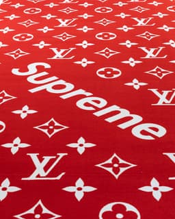 Louis Vuitton x Supreme carpet - image 3